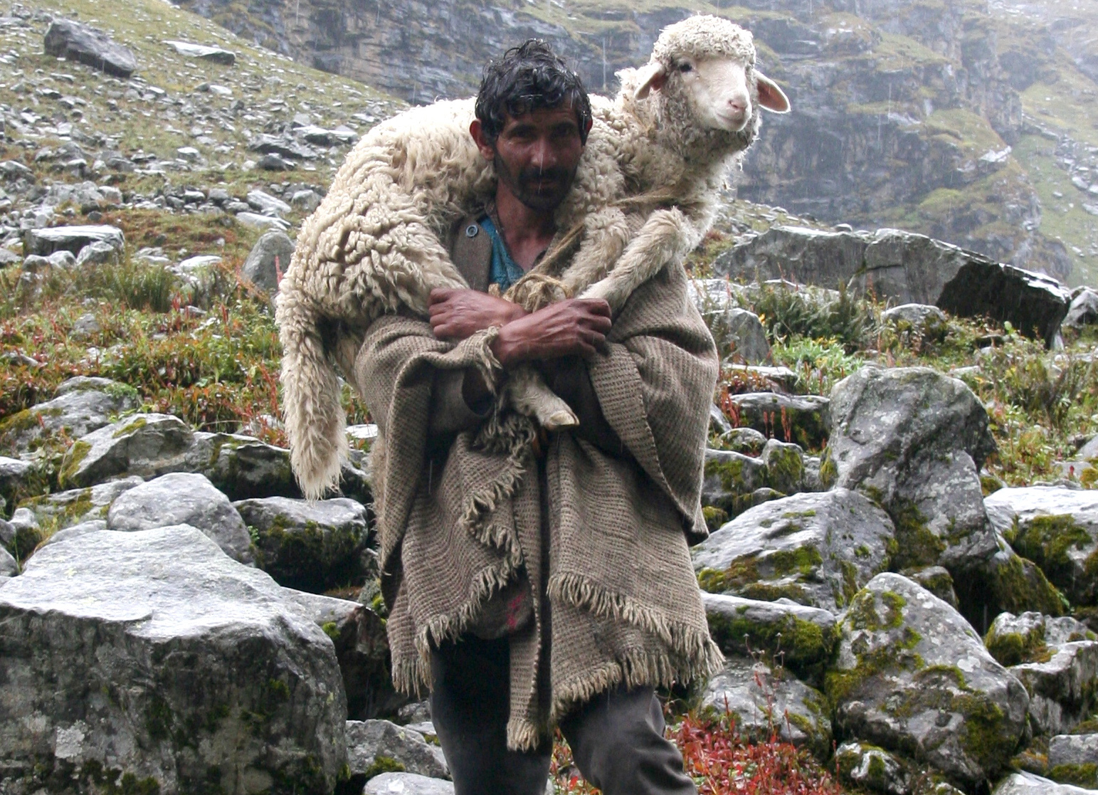 IV Domenica. "La mia vita per le pecore"
