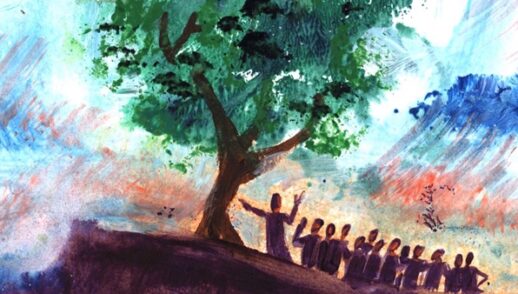 XXVII Domenica del tempo ordinario. Se aveste fede...