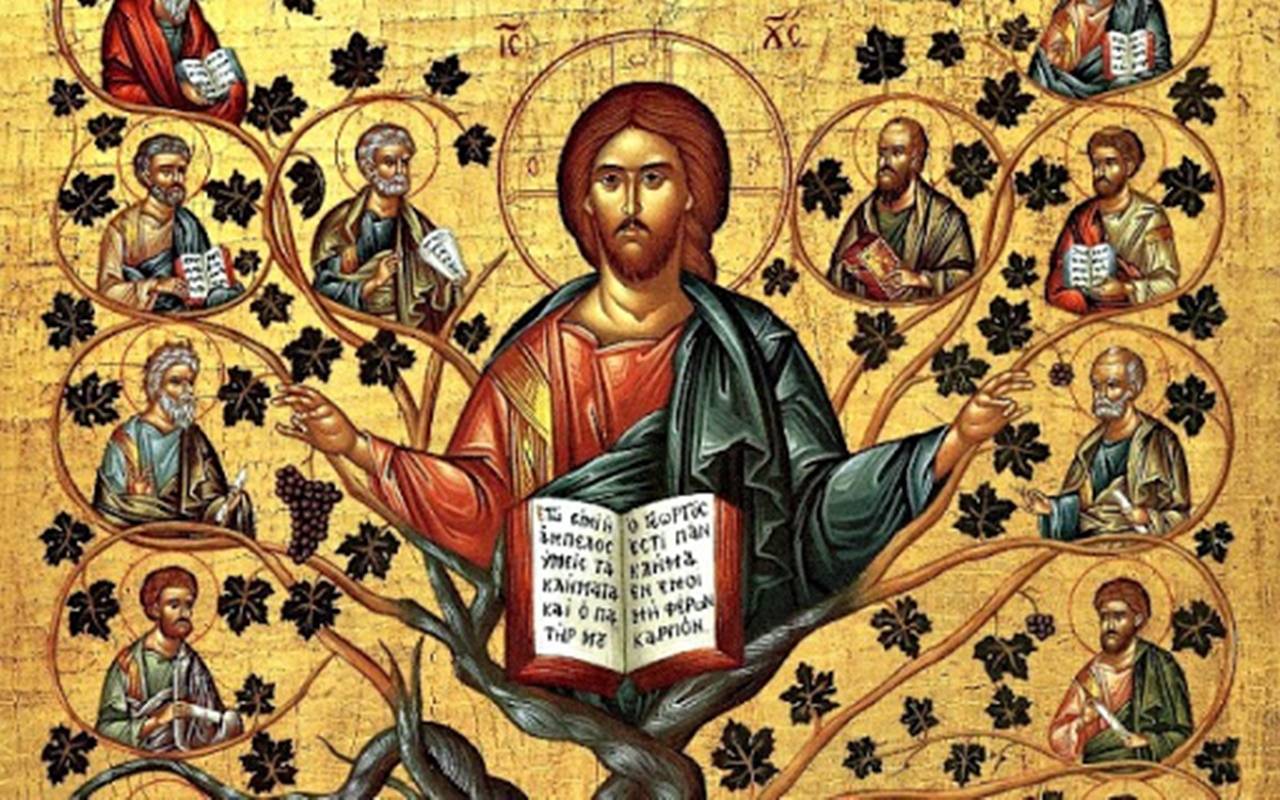 V Domenica di Pasqua. Senza di me non potete far nulla