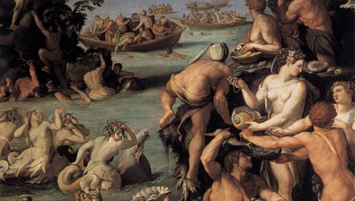 XVII Domenica del tempo ordinario. In cerca di perle preziose