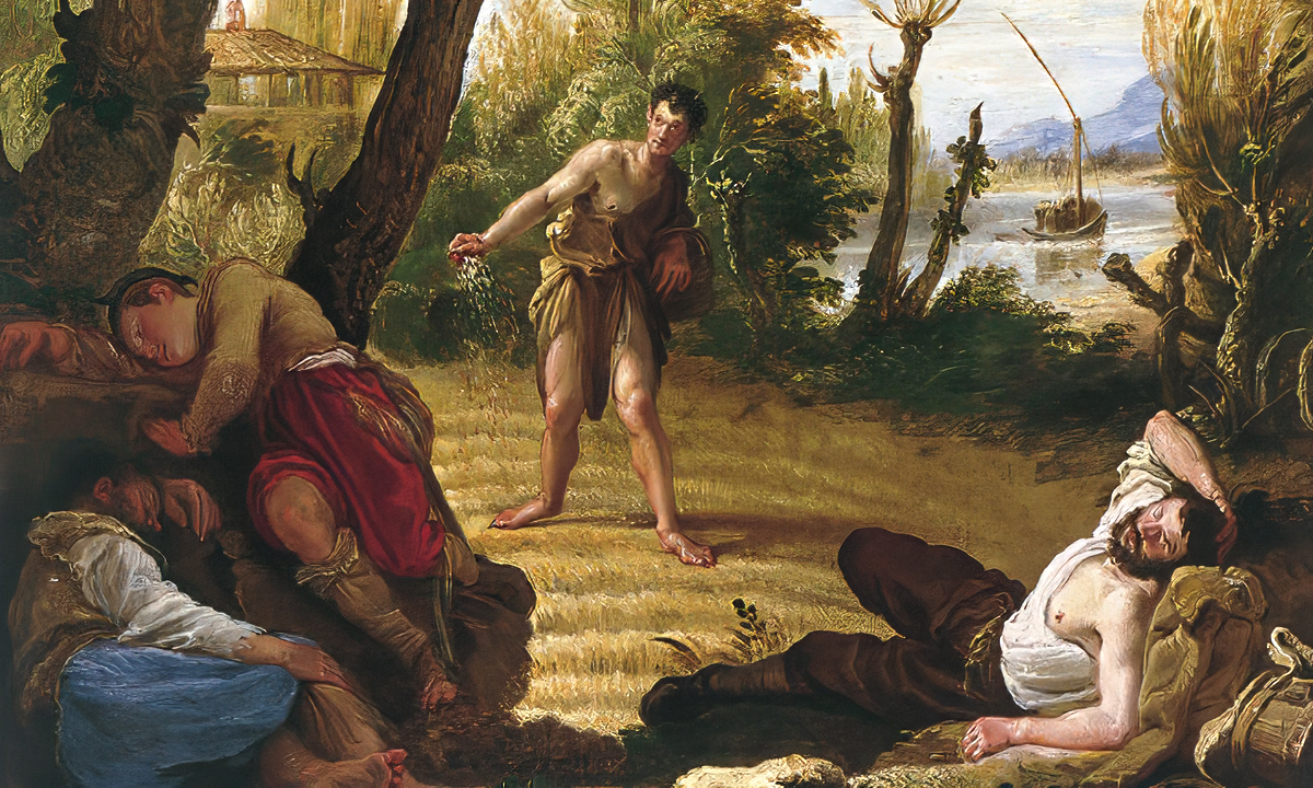 XVI Domenica del tempo ordinario. Lasciate che crescano insieme.